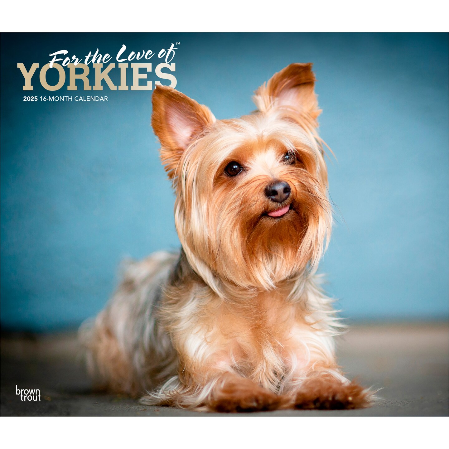 For the Love of Yorkshire Terriers | 2025 14 x 24 Inch Monthly Deluxe Wall Calendar | Foil Stamped Cover | Plastic-Free | BrownTrout | Animal Small Dog Breeds