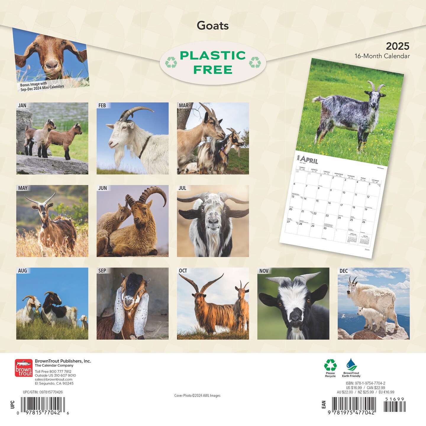 Goats | 2025 12 x 24 Inch Monthly Square Wall Calendar | Plastic-Free | BrownTrout | Domestic Farm Animals 