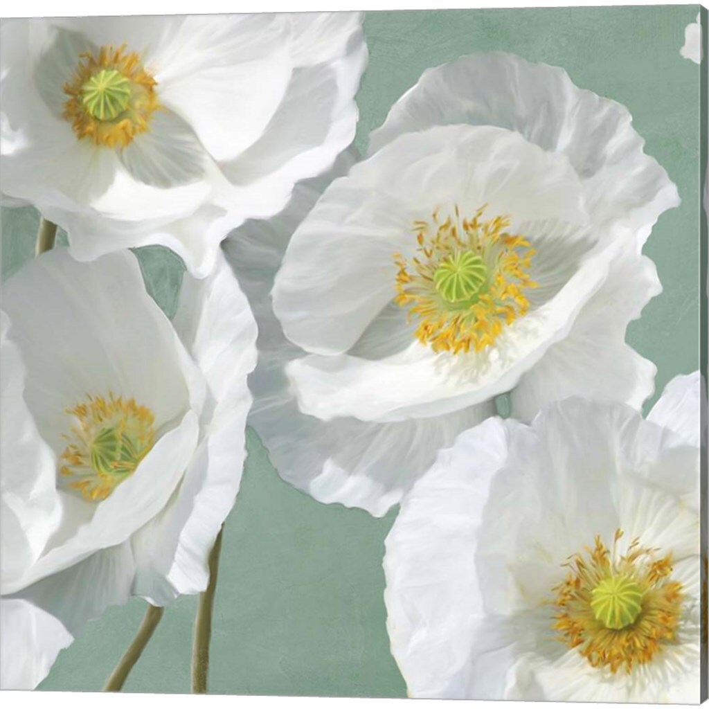 Poppies on Mint by Leonardo Sanna 14" x 14" Canvas Wall Art (Set of 2)