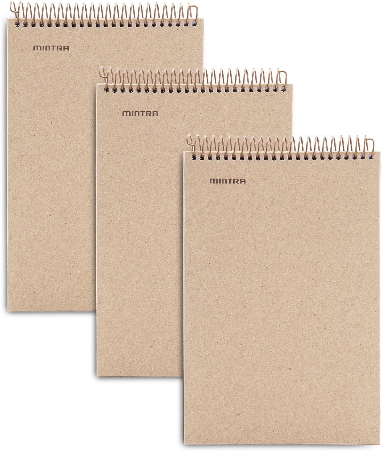 100% Recycled Notebooks (Steno Book, Kraft Cover 3Pk)