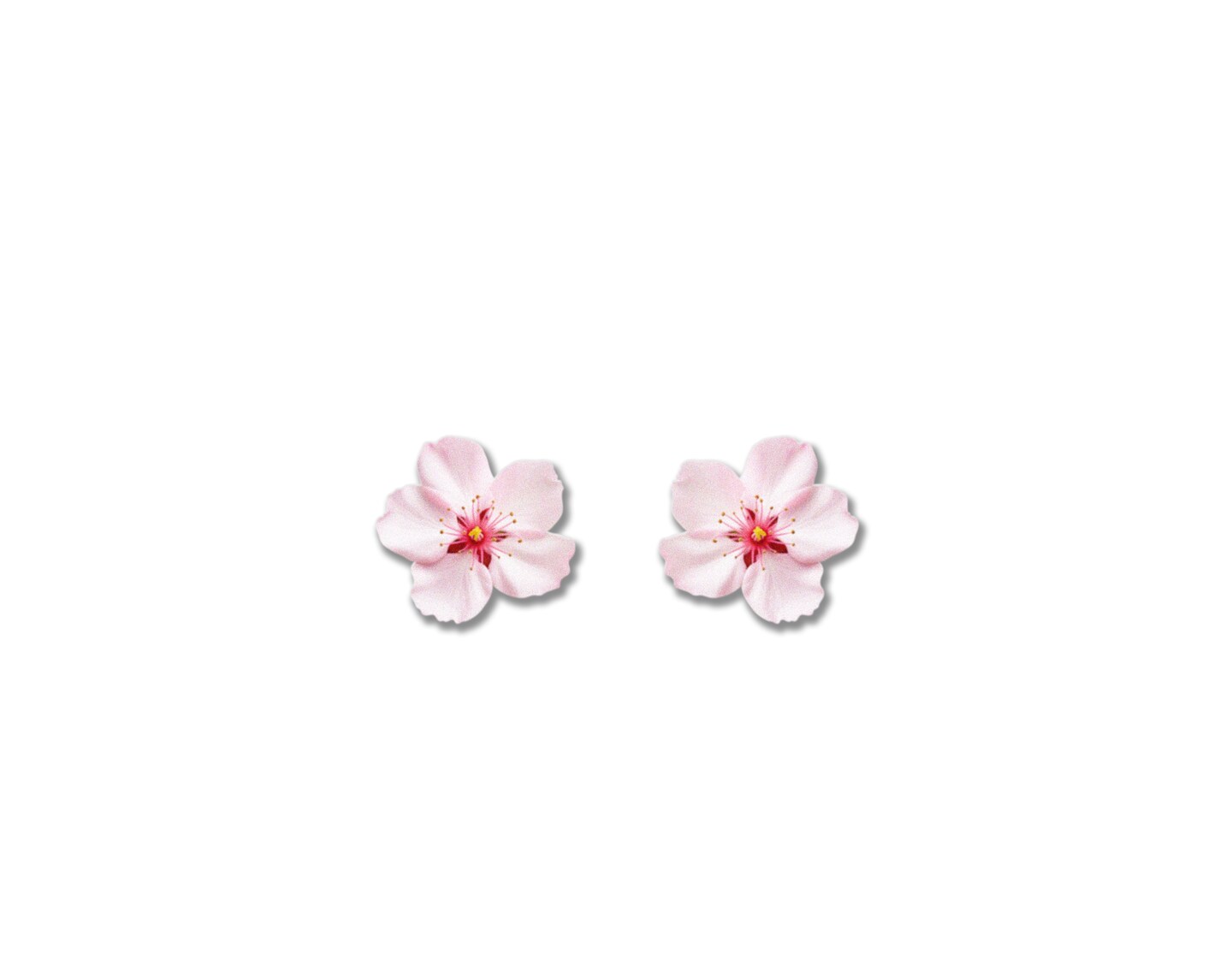 Cherry blossom　様　専用 Amazon.com: BDYDT Pink Cherry Blossom Bonsai Tree Building
