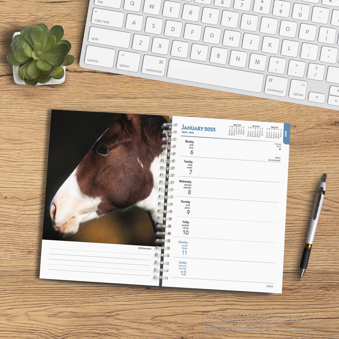 Horse Lovers | 2025 6 x 7.75 Inch Spiral-Bound Wire-O Weekly Engagement Planner Calendar | New Full-Color Image Every Week | BrownTrout | Animals Equestrian