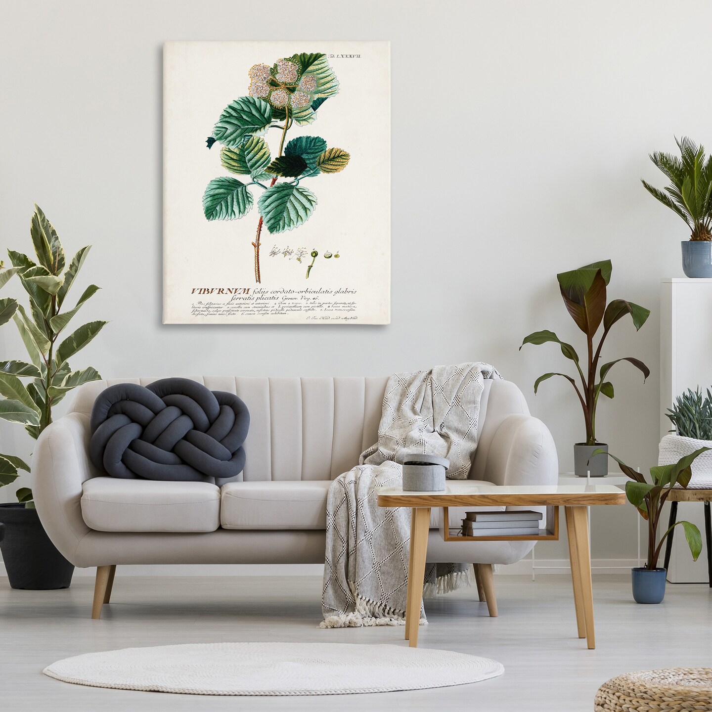 Stupell Industries Scientific Botanical Plant Seeds Canvas Wall Art