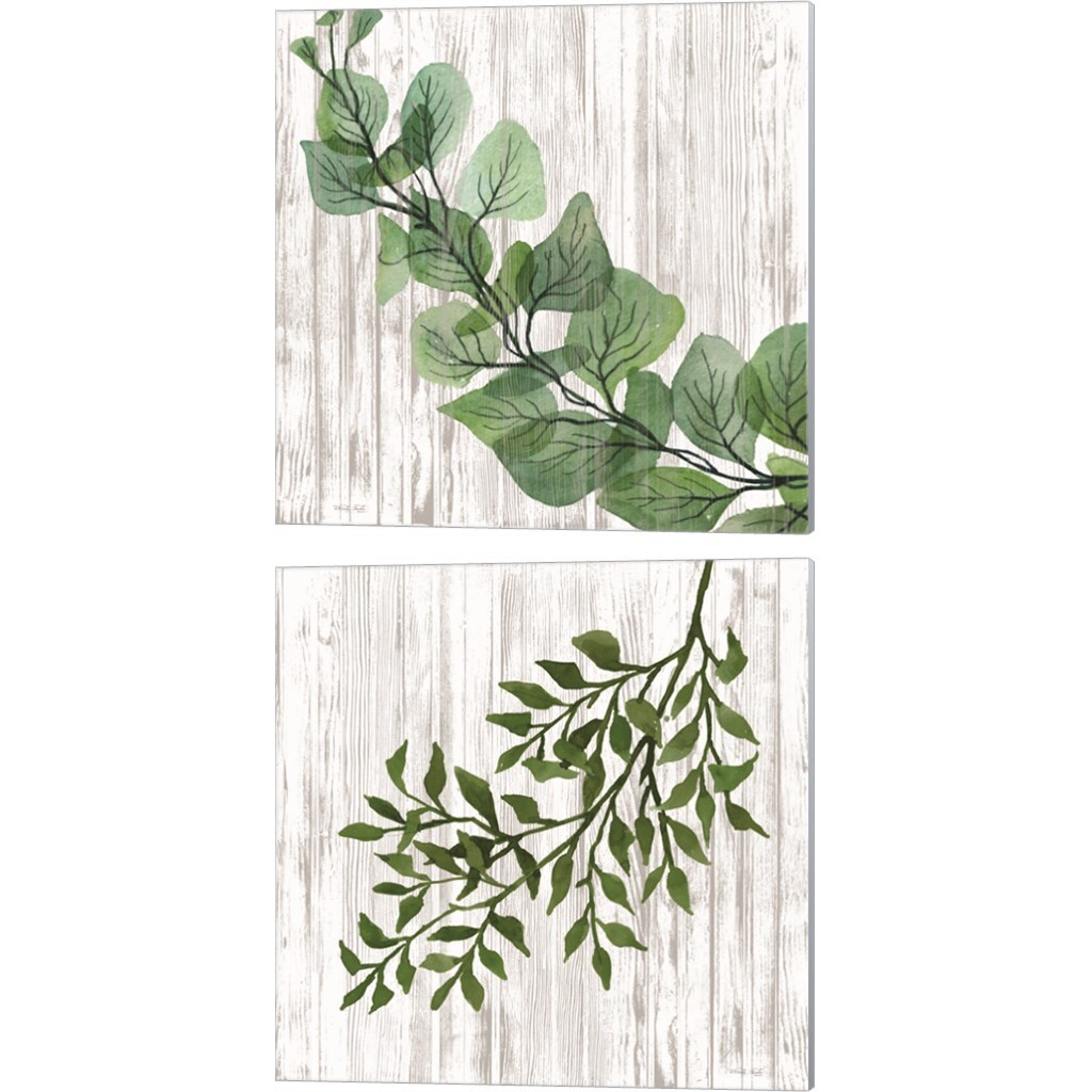 Eucalyptus & Leaves on White by Cindy Jacobs 14" x 14" Canvas Wall Art (Set of 2)