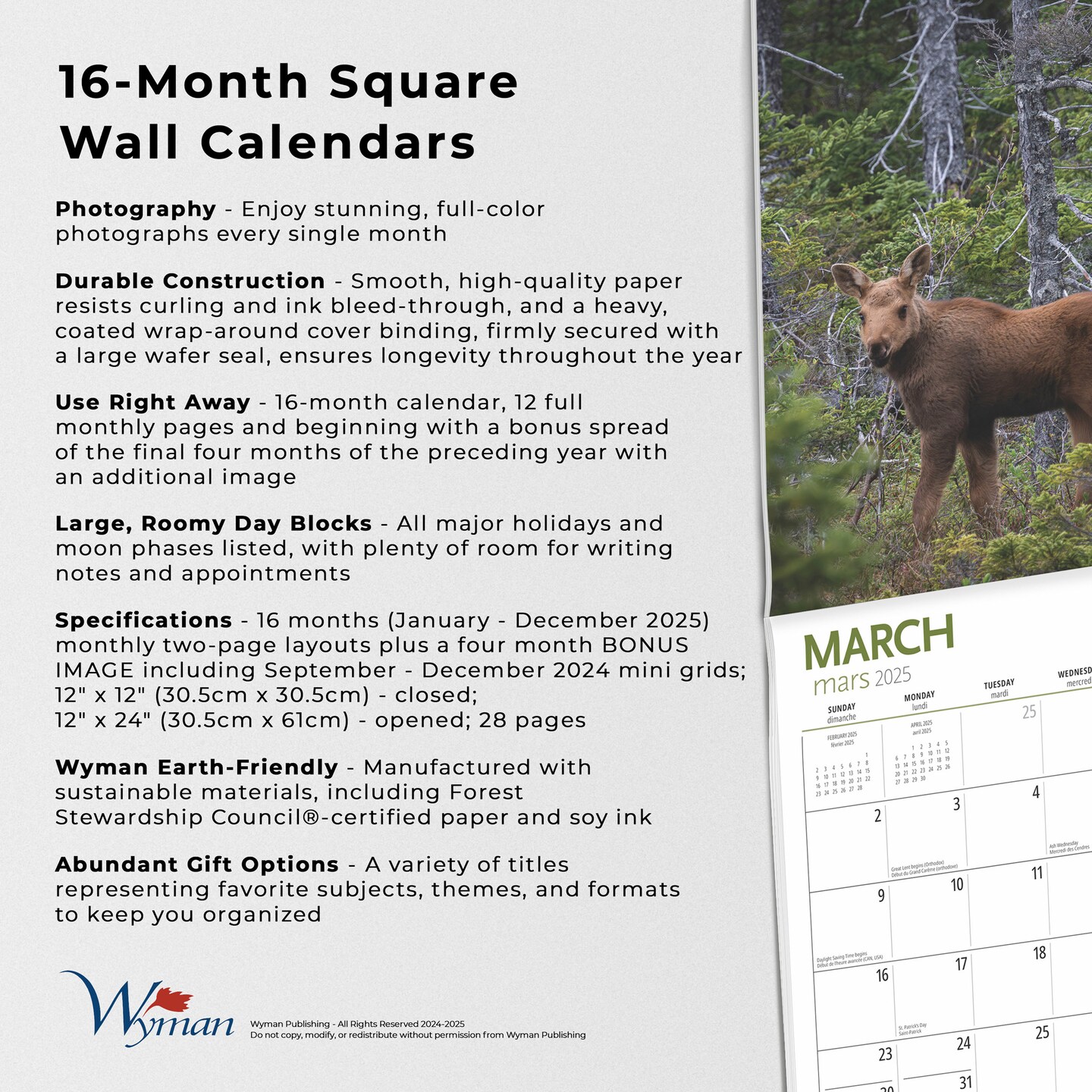 Canadian Geographic Moose OFFICIAL | 2025 12 x 24 Inch Monthly Square Wall Calendar | Wyman Publishing | Elk Deer Wildlife