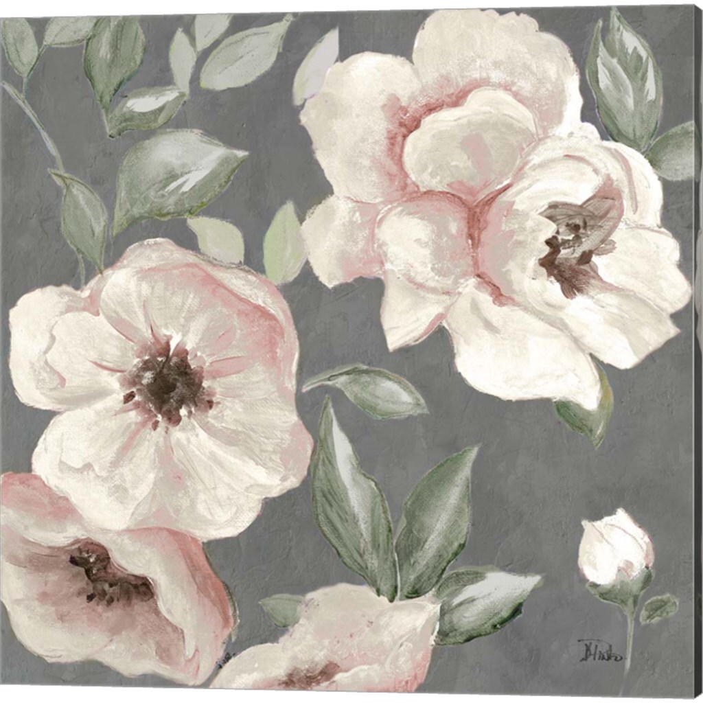Dusty Rose by Patricia Pinto 14" x 14" Canvas Wall Art (Set of 2)
