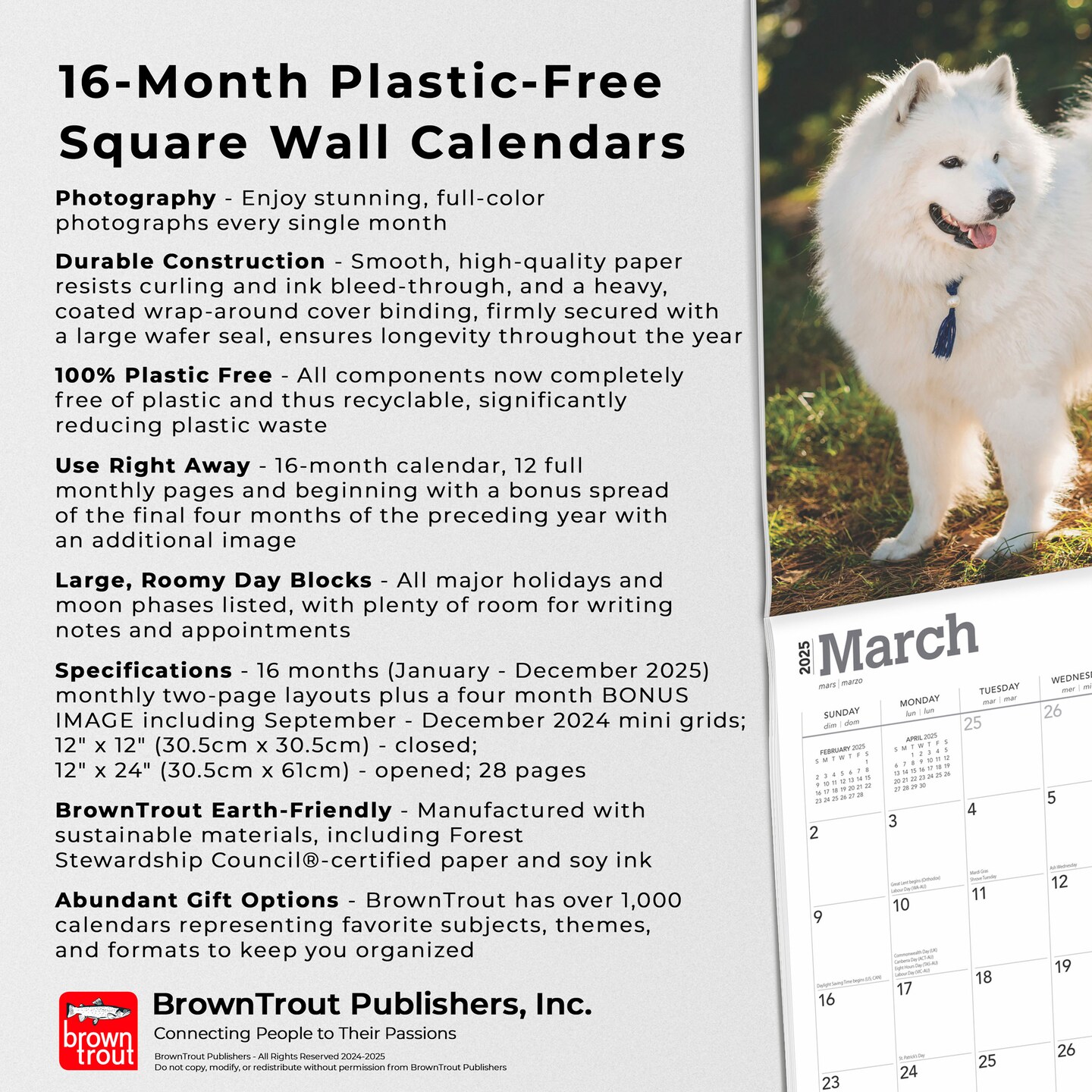 Samoyeds | 2025 12 x 24 Inch Monthly Square Wall Calendar | Plastic-Free | BrownTrout | Animals Dog Breeds