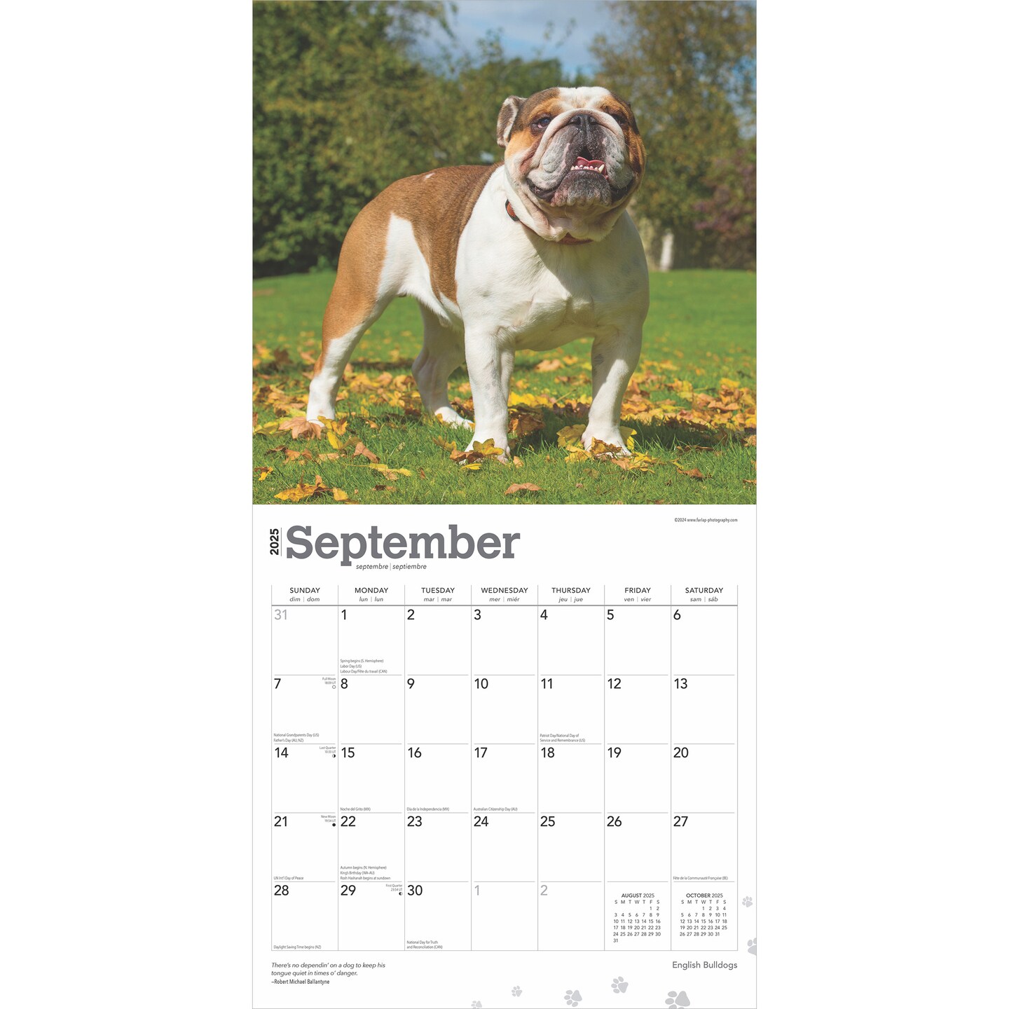 English Bulldogs | 2025 12 x 24 Inch Monthly Square Wall Calendar | Plastic-Free | BrownTrout | Animals Dog Breeds
