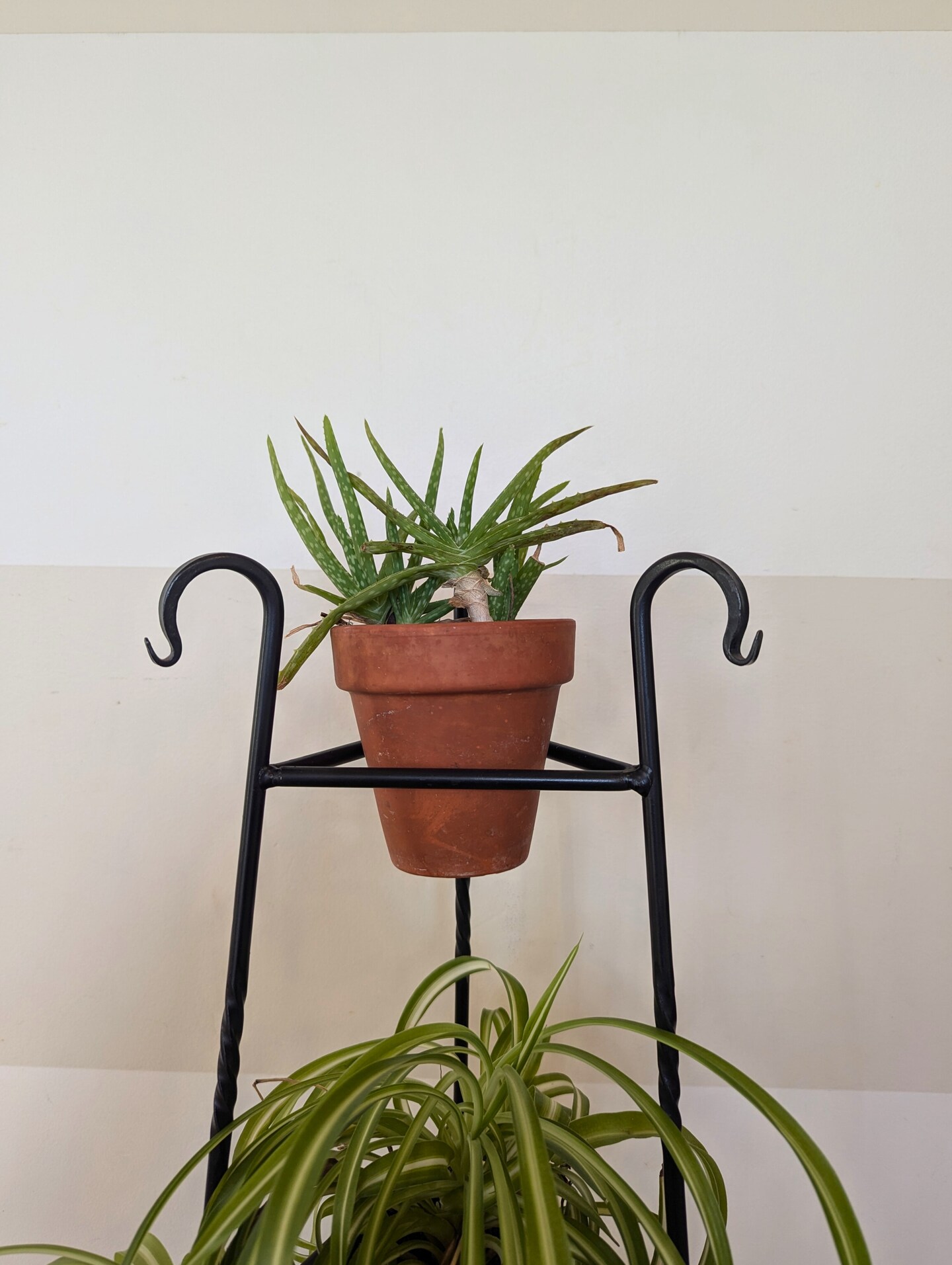 Three-Tier Wrought Iron Black Plant Stand – Plant Holder for Indoor Plants  and Flower Display | Rustic Home Decor | Amish Made in the USA | MakerPlace  by Michaels, image size:813x1080