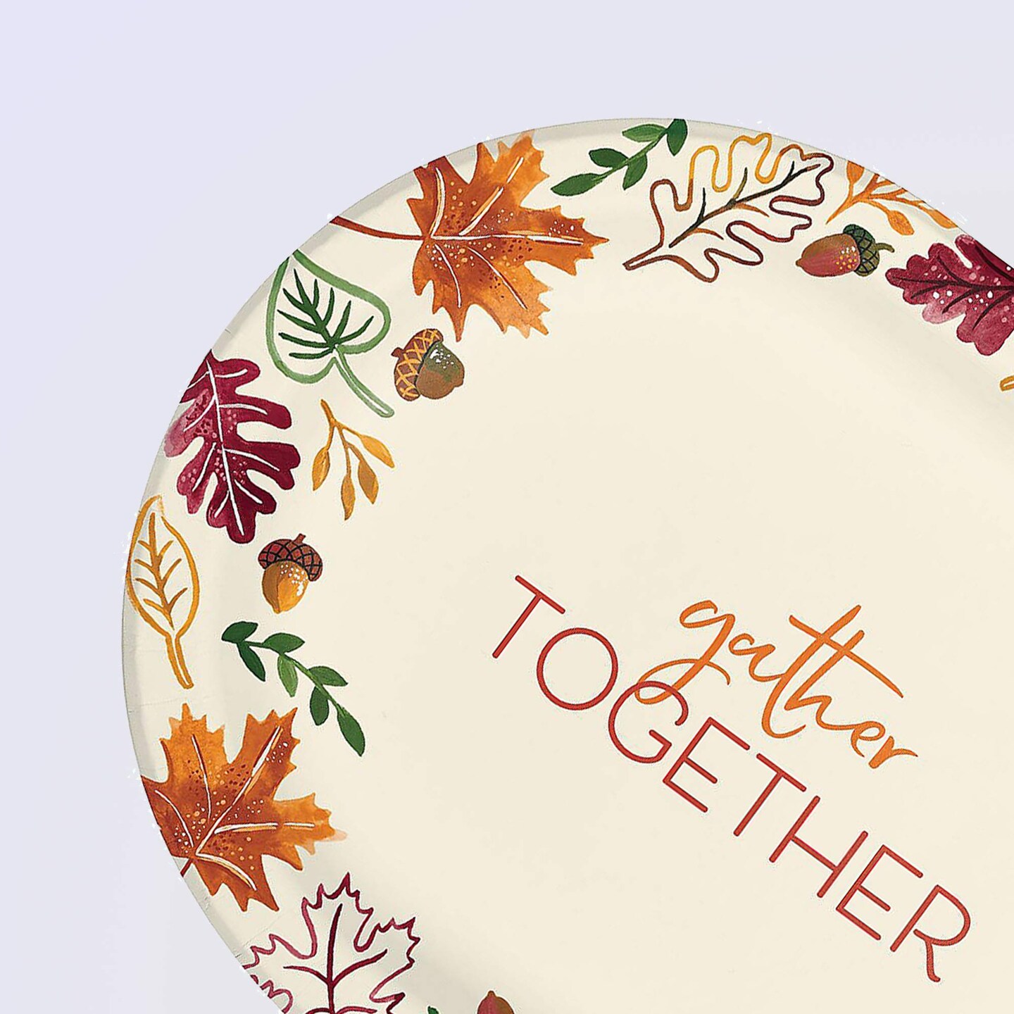 24 Pack Fall Gather Together Dinner Plates 9.25&#x22;x12&#x22;