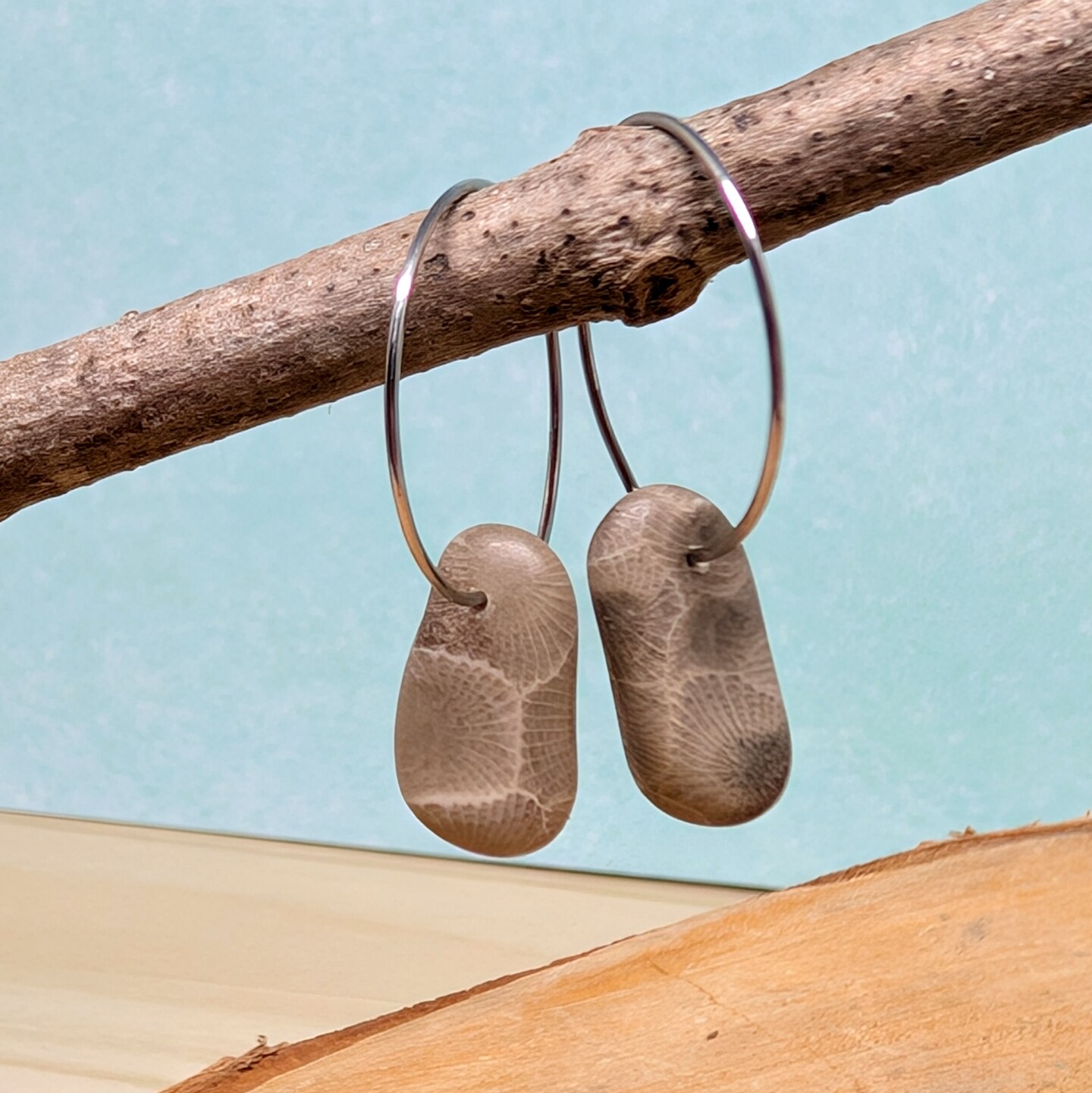 Petite Petoskey Stone Hoop Earrings, Petoskey Stone Earrings, Lake Michigan  Jewelry, Petoskey Stone Jewelry, Gift for Her, Fossil Jewelry MakerPlace 