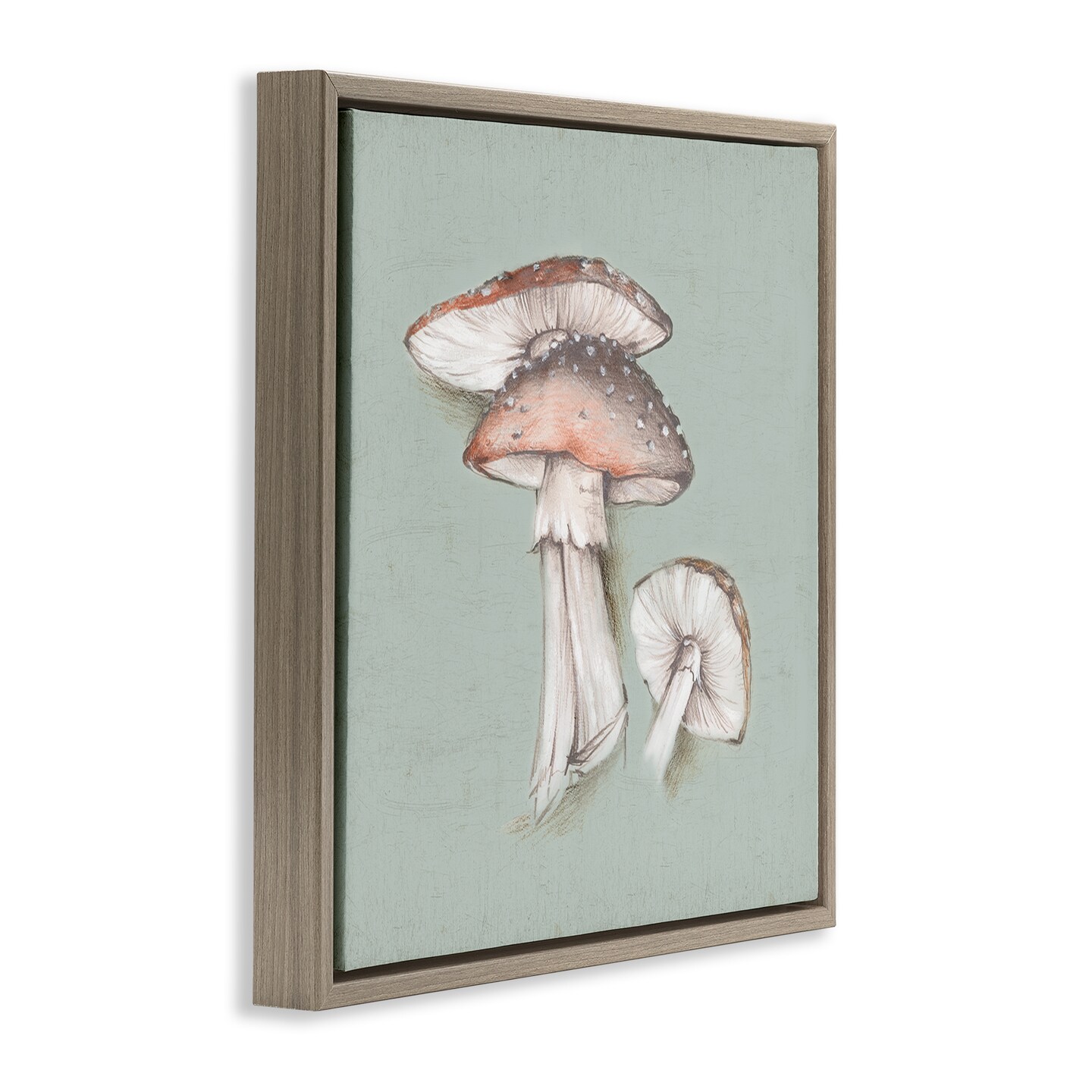 Stupell Industries Mushroom Bunch Drawing Framed Floater Canvas Wall Art Design by Eli Jones