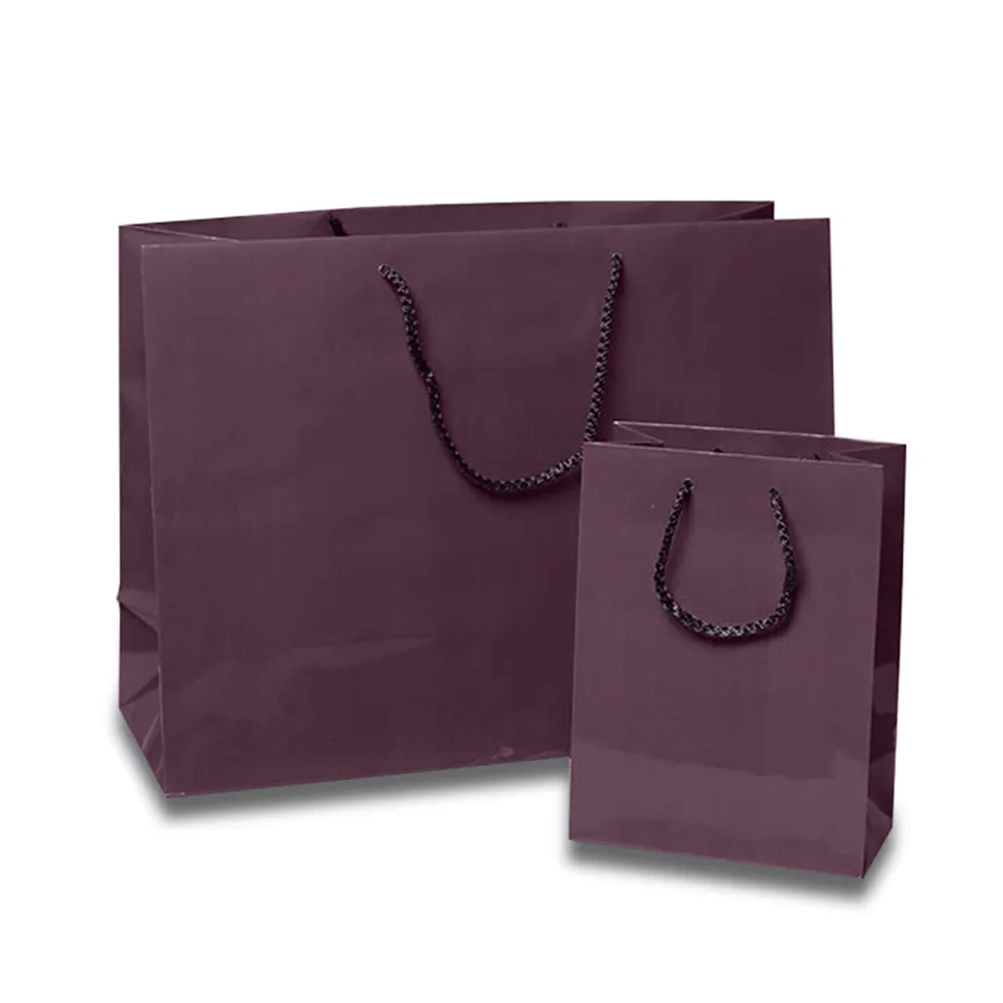 Sleek and Compact Glossy Euro Totes 4 3/4&#x27;&#x27; x 2 3/4&#x27;&#x27; x 6 3/4&#x27;&#x27;
