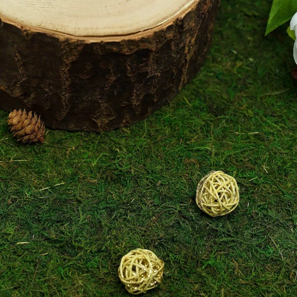 50 grams Green Natural Reindeer Moss Vase Fillers Wedding Party Decorations