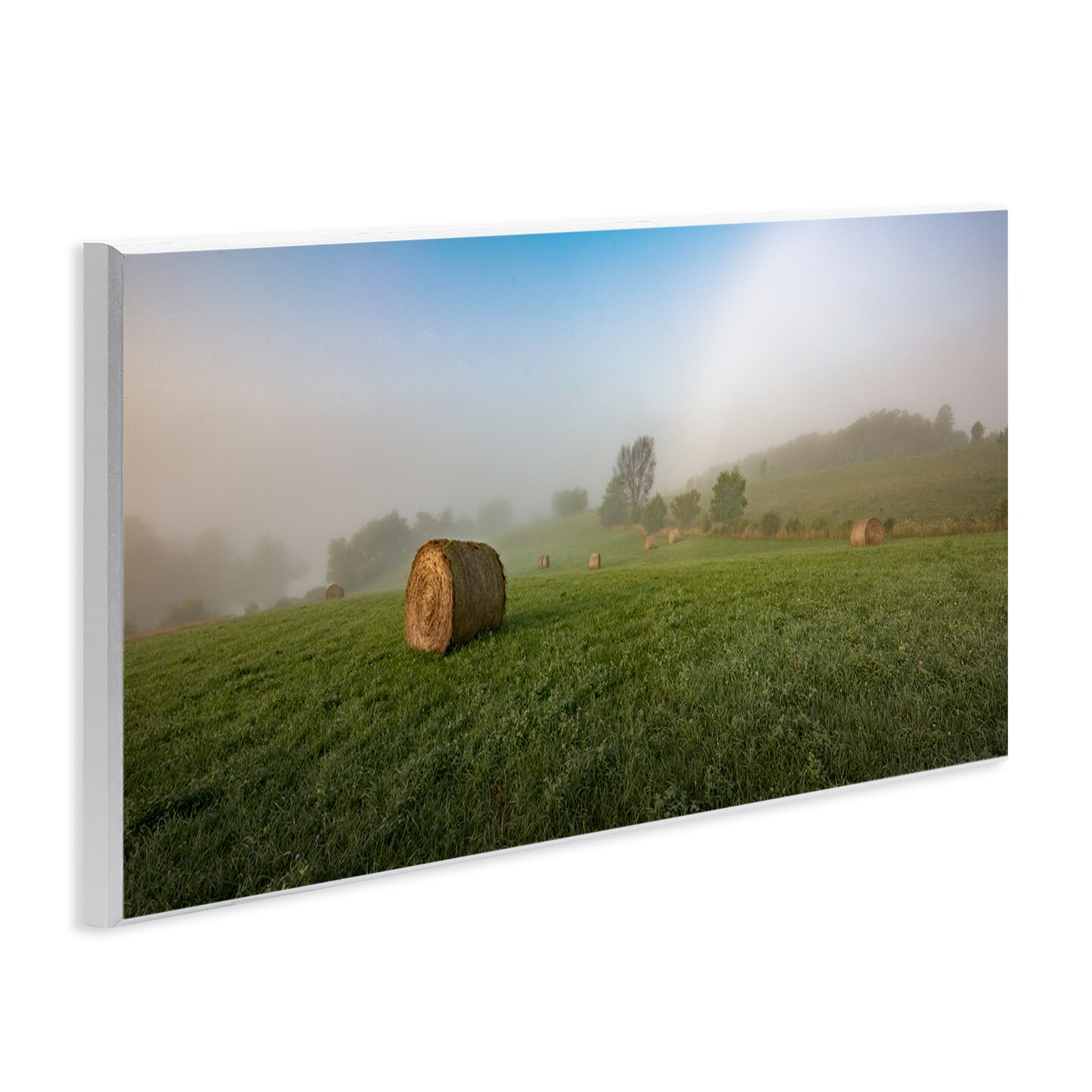 Stupell Industries Hay Bales Country Horizon Wall Plaque Art Design by Marty Hulsebos