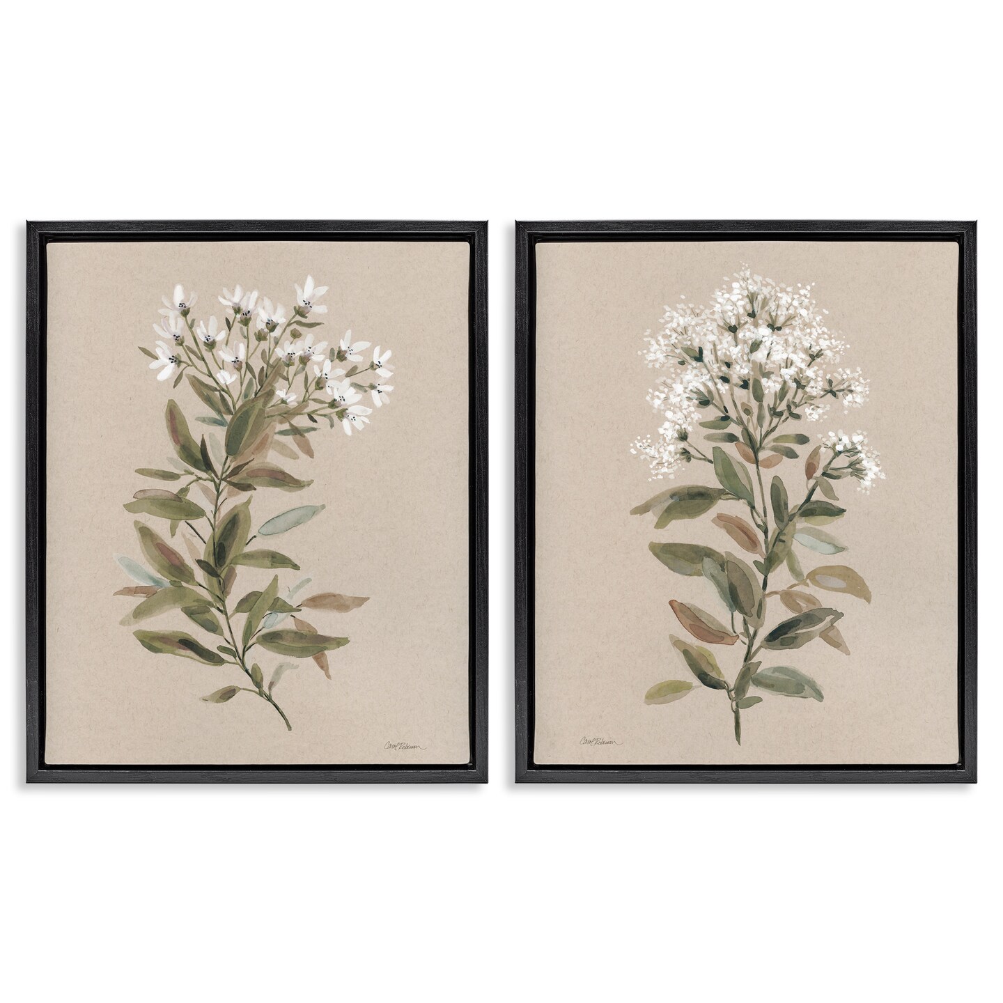 Stupell Industries Lovely White Floral Stem 2 pc Framed Floater Canvas Wall Art Set Design by Carol Robinson