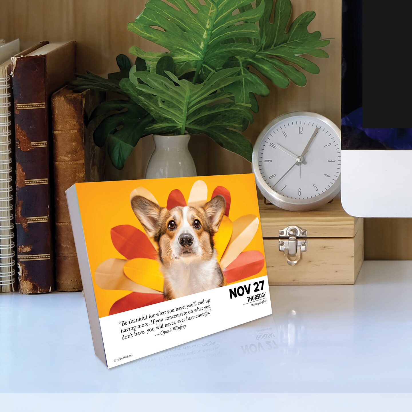 What Dogs Teach Us 2025 Box Calendar, Daily Desktop