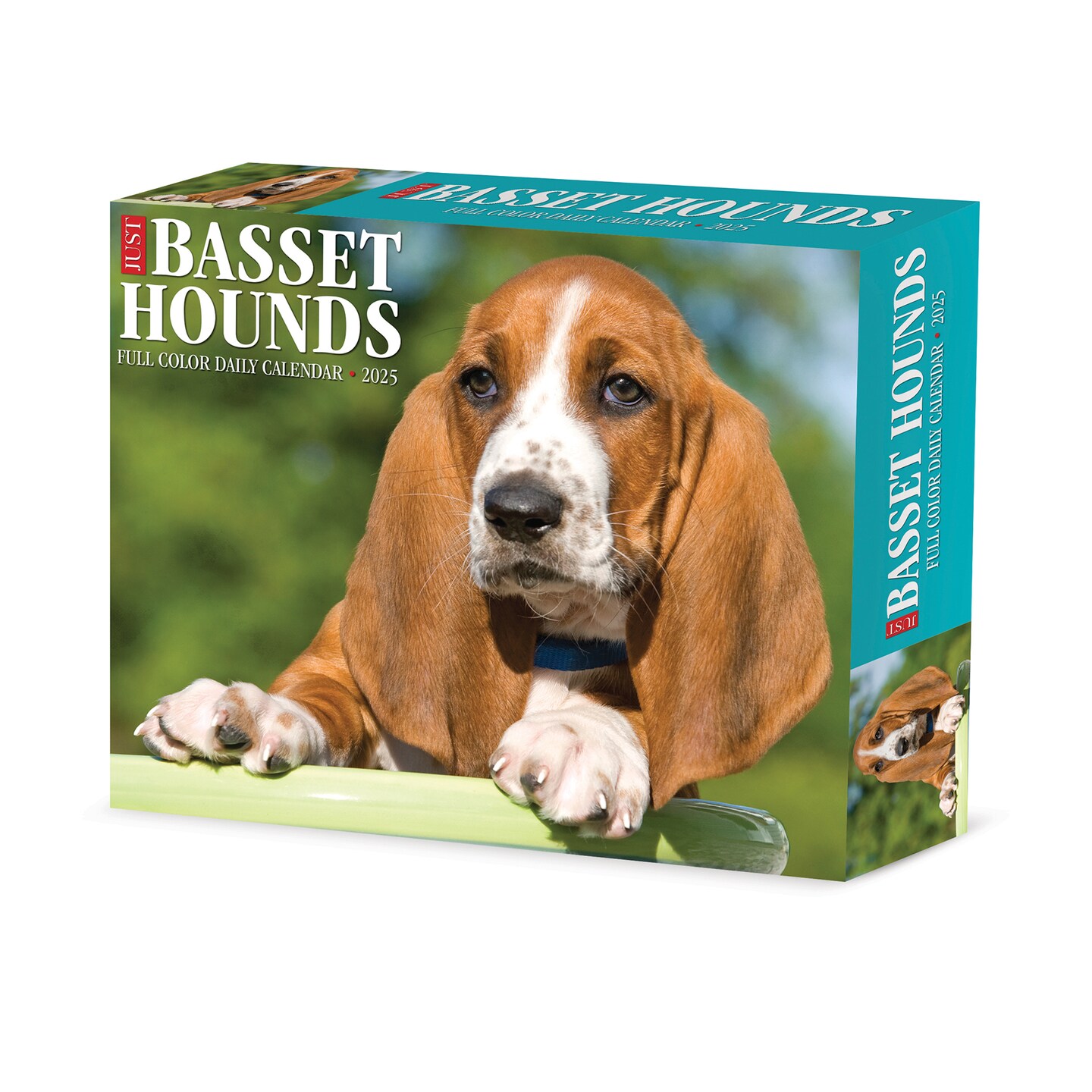 Just Basset Hounds 2025 Box Calendar - Dog Breed Daily Desktop