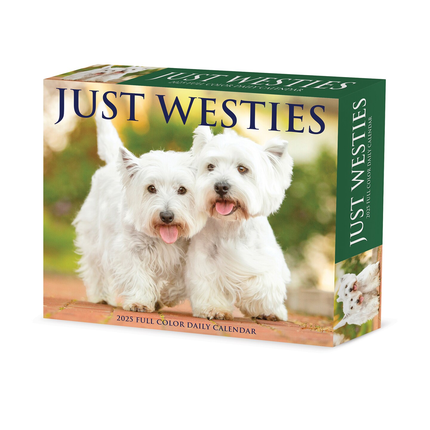 Just Westies 2025 Box Calendar - Dog Breed Daily Desktop