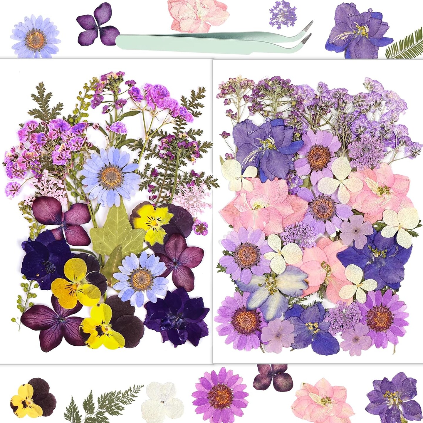 58Pcs Pressed Flowers for Craft Purple Real Natural Dried Flowers
