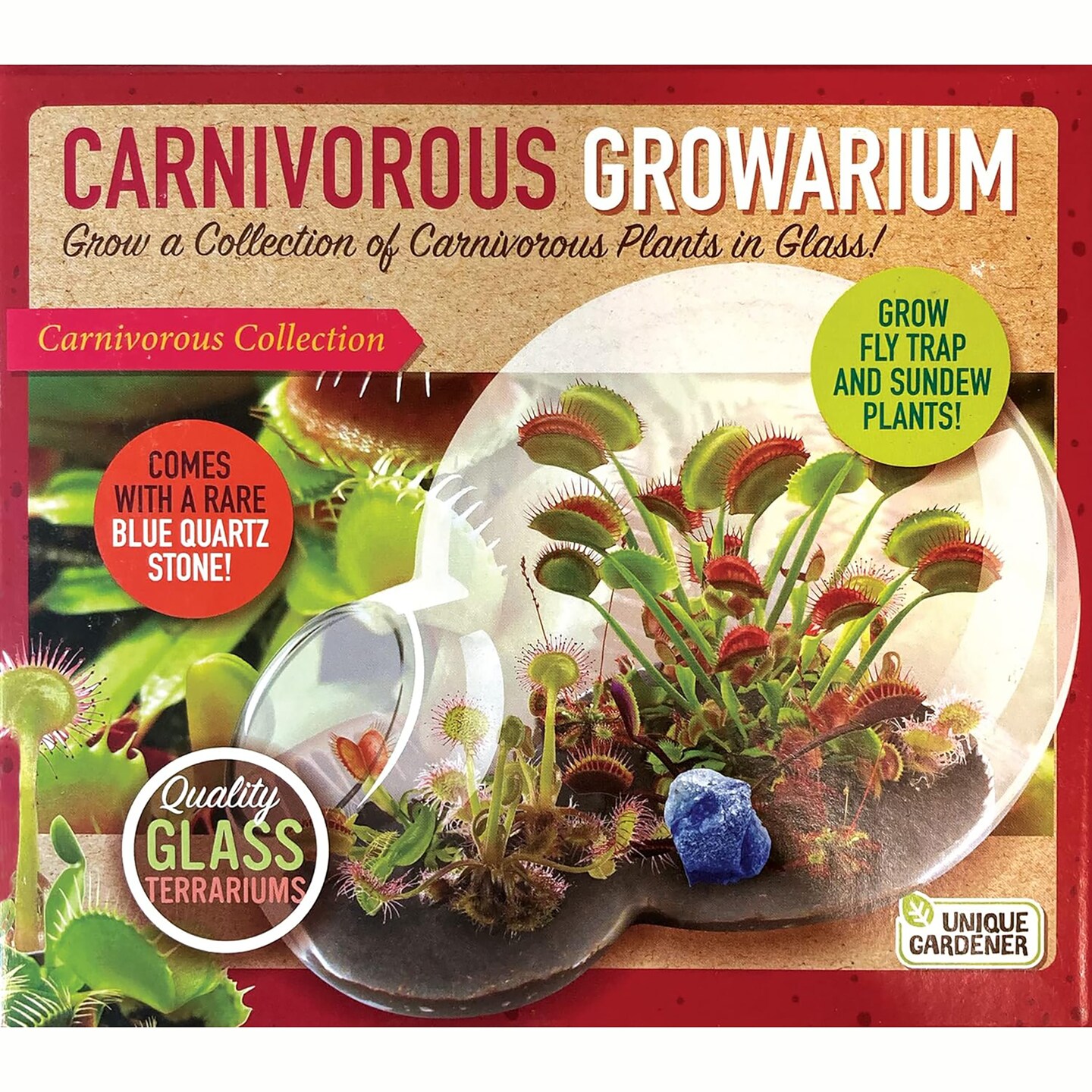 Unique Gardener: Carnivorous Growarium - DIY Double-Sphere Glass Terrarium Starter Kit, Grow Mini Venus Fly Trap &#x26; Sundew Plants, Nature, Adult &#x26; Kids