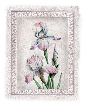 Flowers of Spring IV by Tom Wood Wall Art Décor 11 3/4 x 9 1/2 Art Print