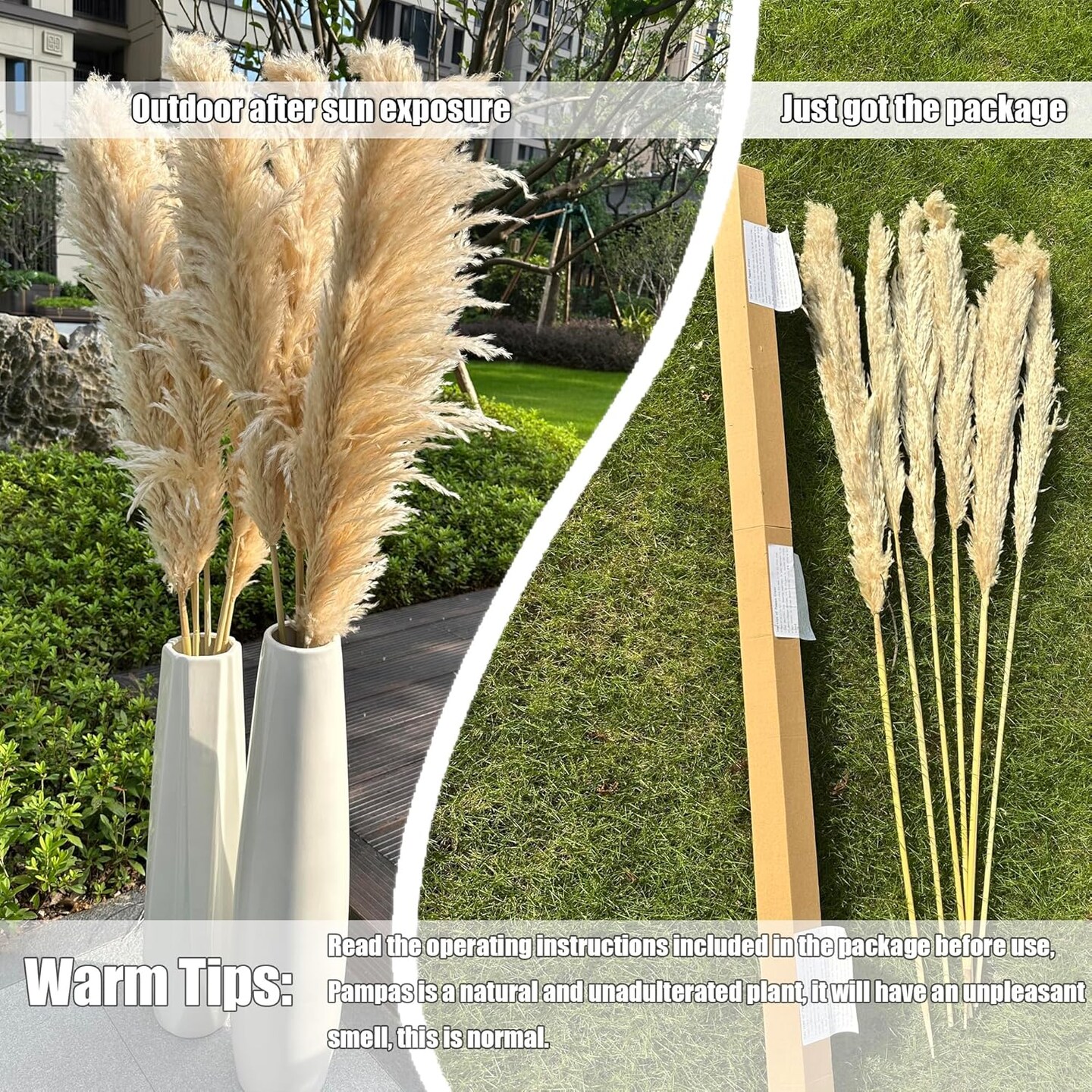 55&#x22; inch Scarcity Natural Pampas Grass Decor Tall( Beige)