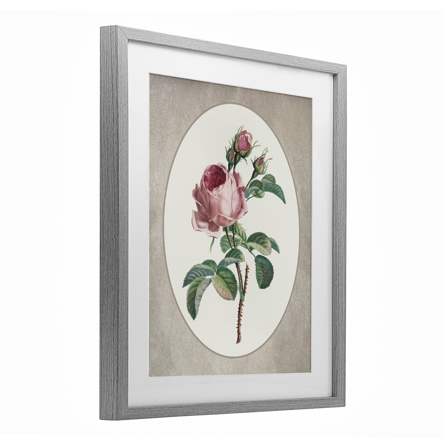 Stupell Industries Vintage Rose within Oval Framed Print Under Glass, design by Lettered and Lined