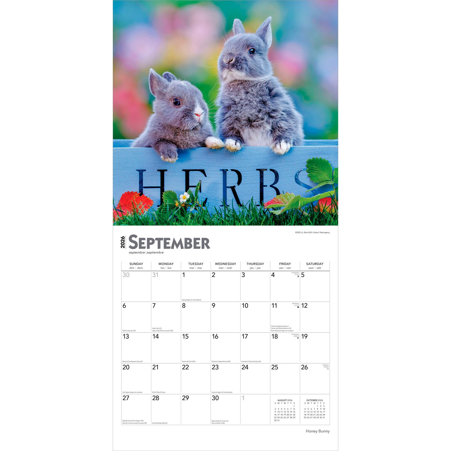 Honey Bunny | 2026 12 x 24 Inch (Hanging) Monthly Square Wall Calendar | Plastic-Free