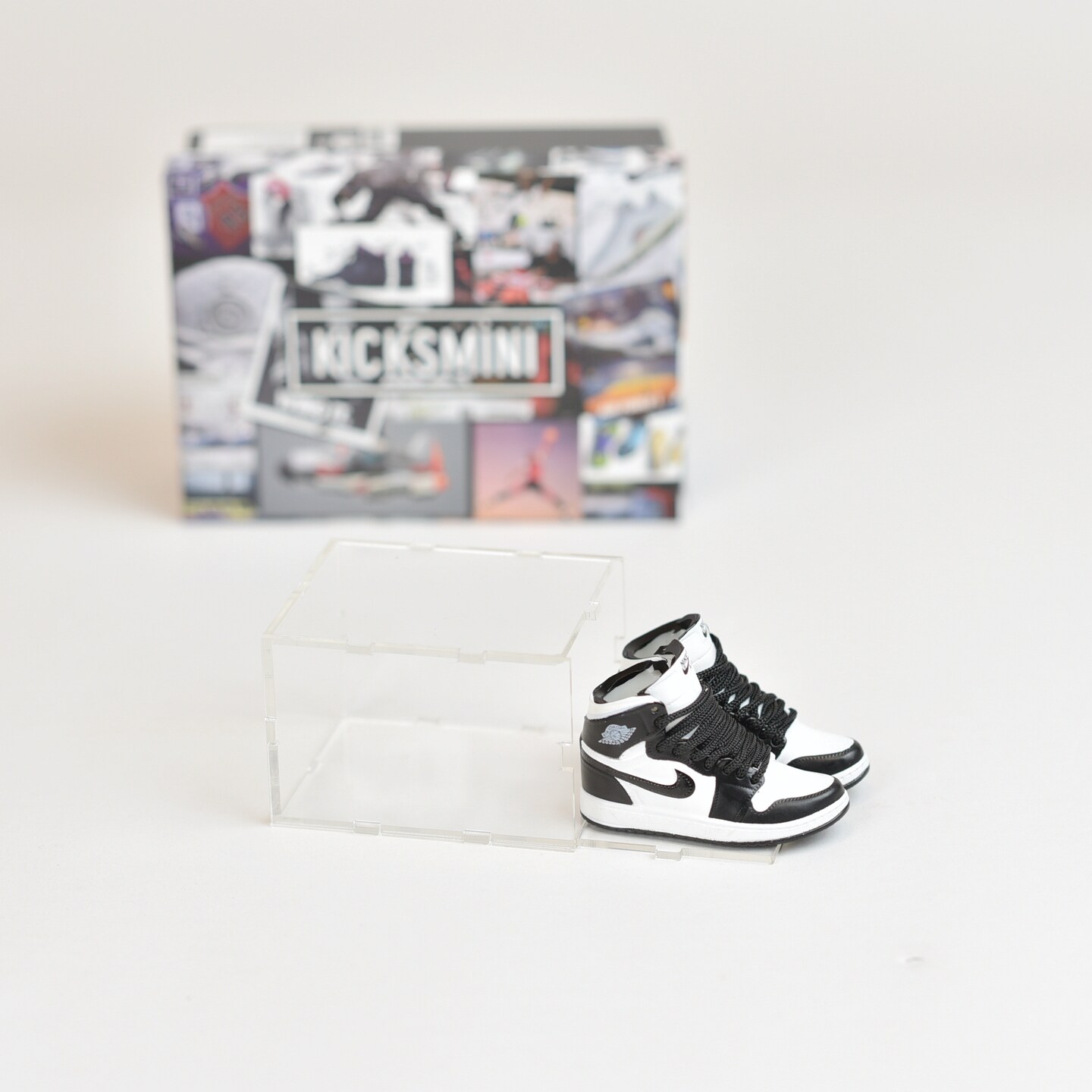 Handcrafted Painted 3D Mini Sneakers with Display Case | AJ1