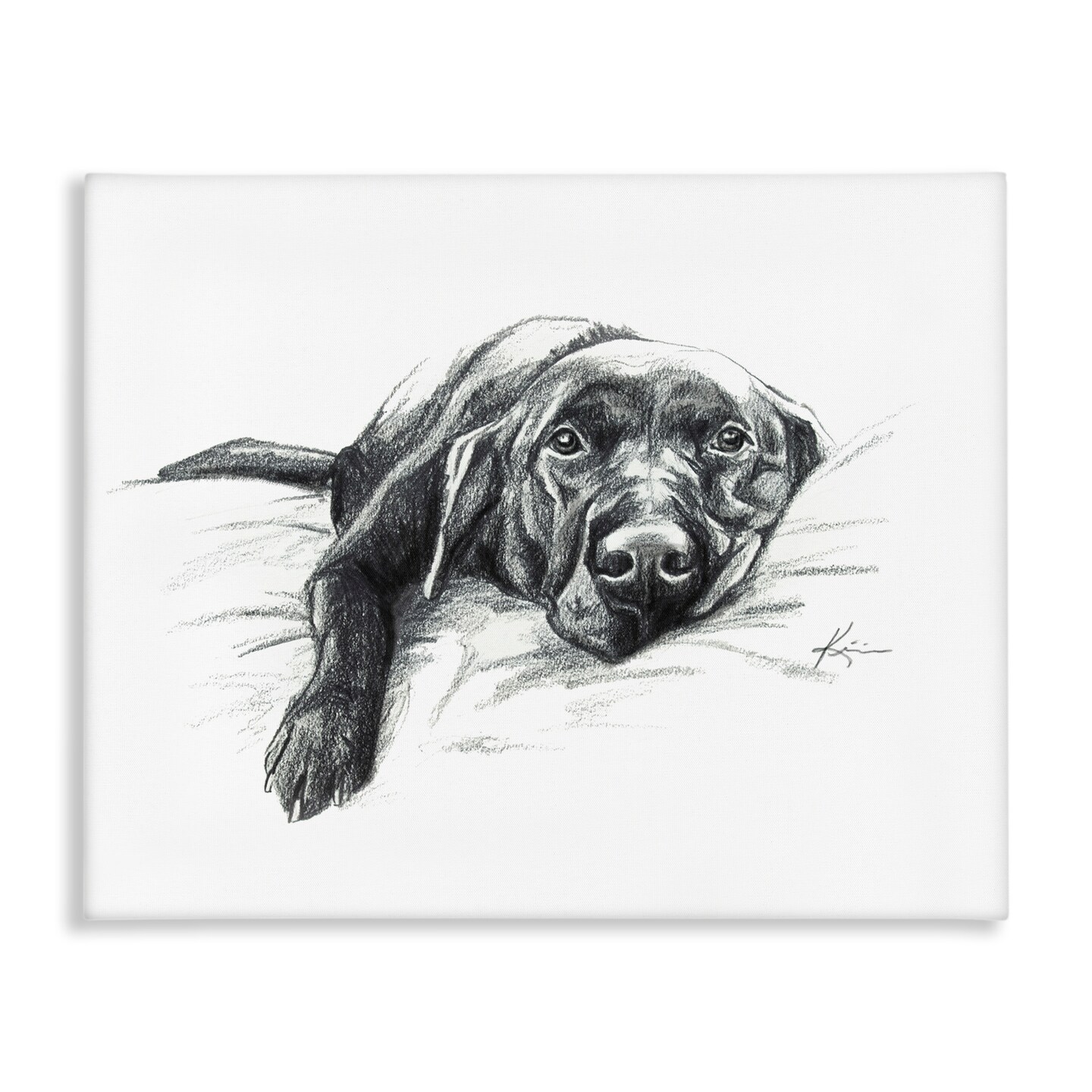 Stupell Industries Naptime Black Labrador Canvas Wall Art Design by Lindsay Kivi Fine Art