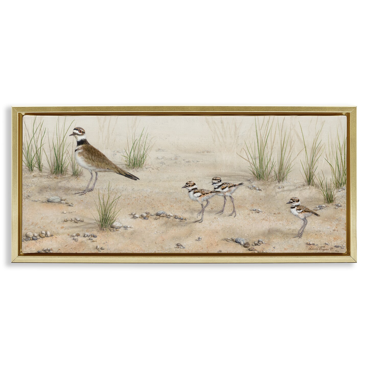 Stupell Industries Kildeer Birds Stepping Floater Framed Canvas Wall Art Design by Valerie Rogers