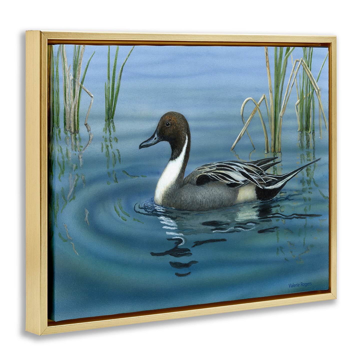 Stupell Industries Pintail Loon in Pond Floater Framed Canvas Wall Art Design by Valerie Rogers