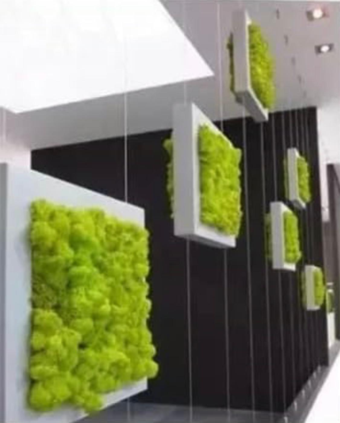 Moss Preserved Dark Green for Fairy Gardens Terrariums, Craft, DIY, Floral, 1Kg Musgo Preservado