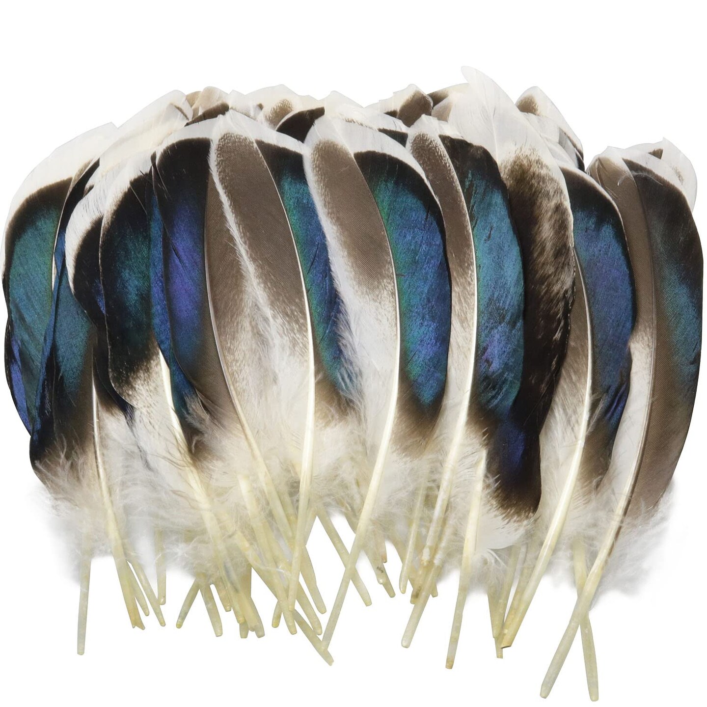 LUORNG 150PCS Duck Feathers  Natural Feathers for DIY Craft Art  Decor Feathers for Carnival Halloween Handwork Clothing Costumes Hair Hats Crafts Home Wedding Party Decoration
