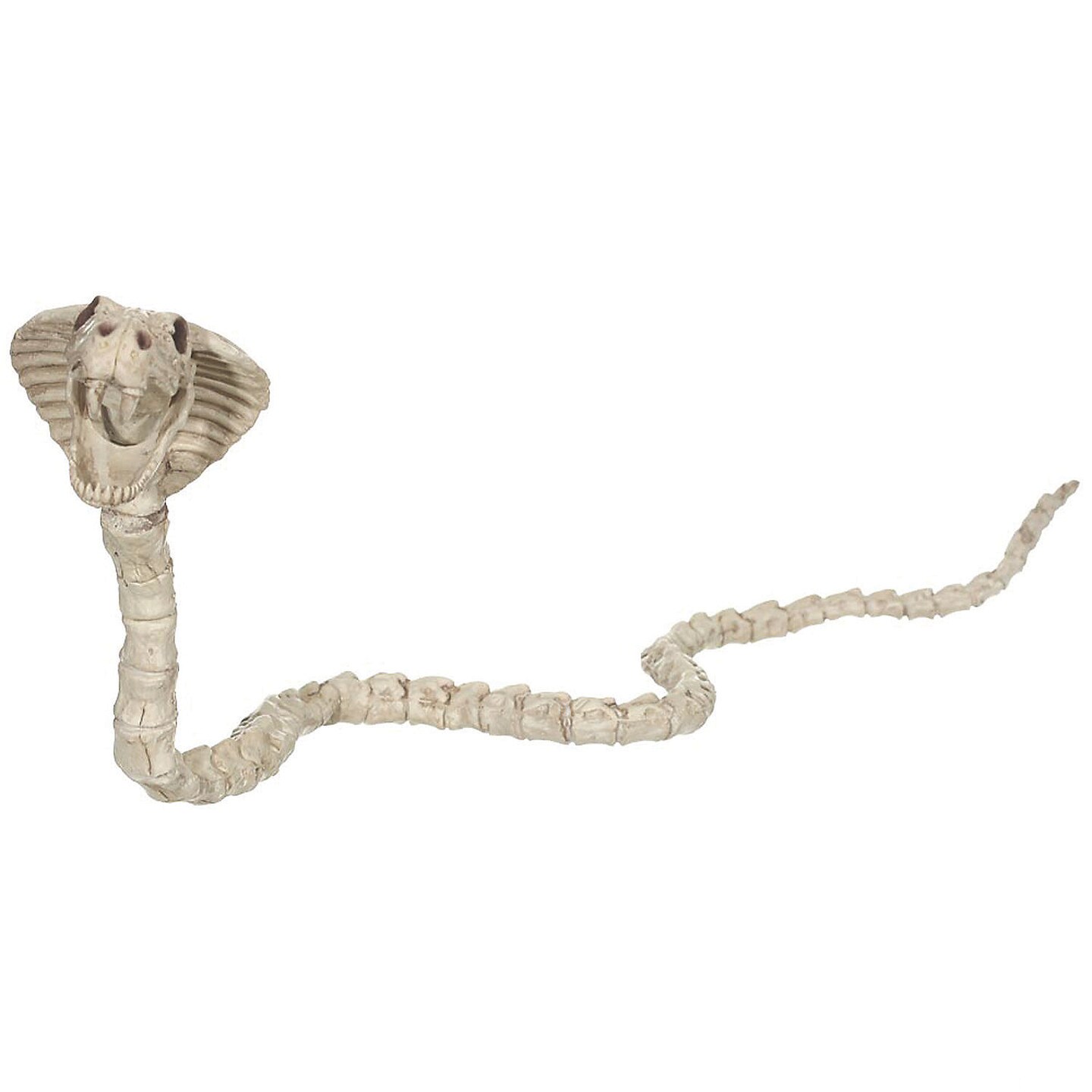 Skeleton Cobra Spooky Serpent