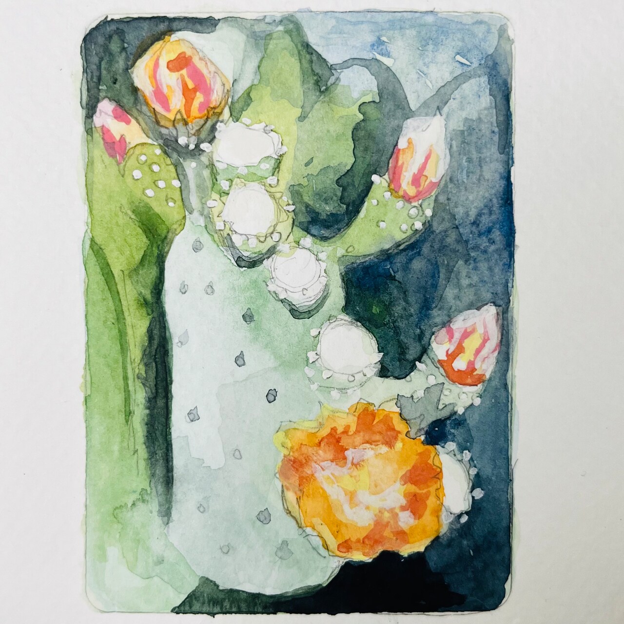 30 Watercolor Flower Studies for Painting Practice, Part I