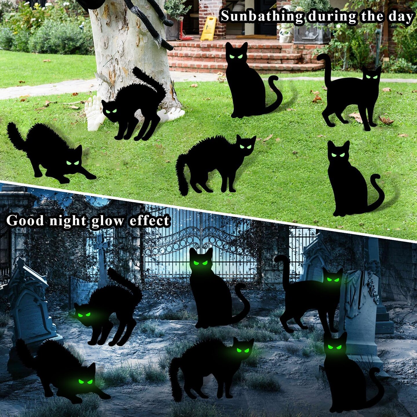 Black Cat Halloween Decorations Yard