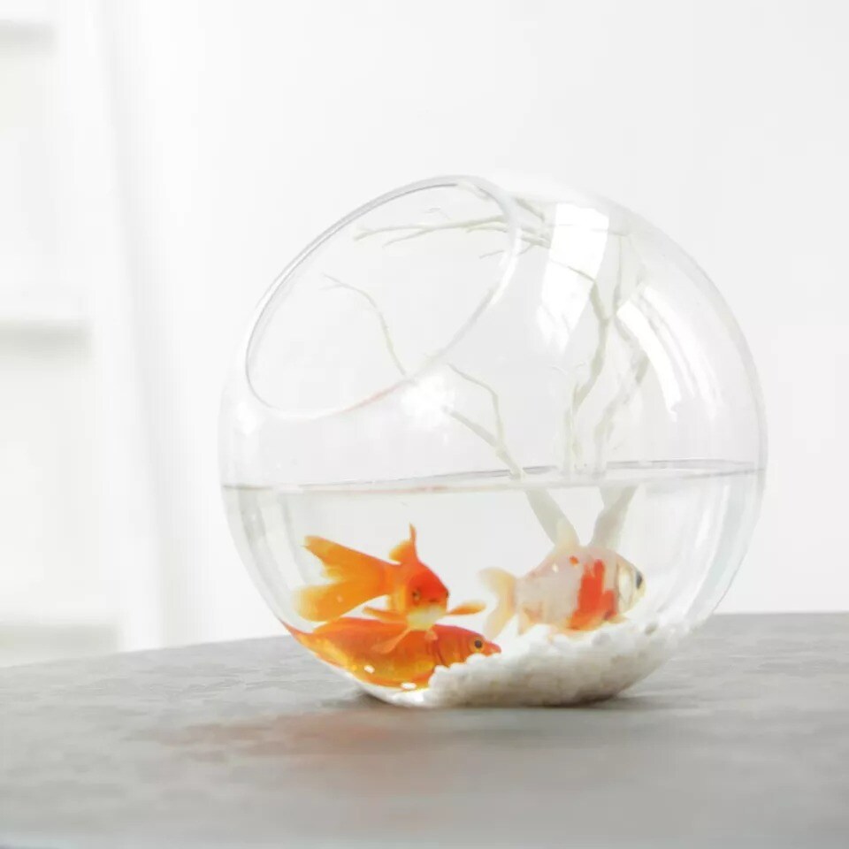 Clear 9&#x22; Slanted Glass Terrarium Vase Wedding Party Centerpieces Decorations