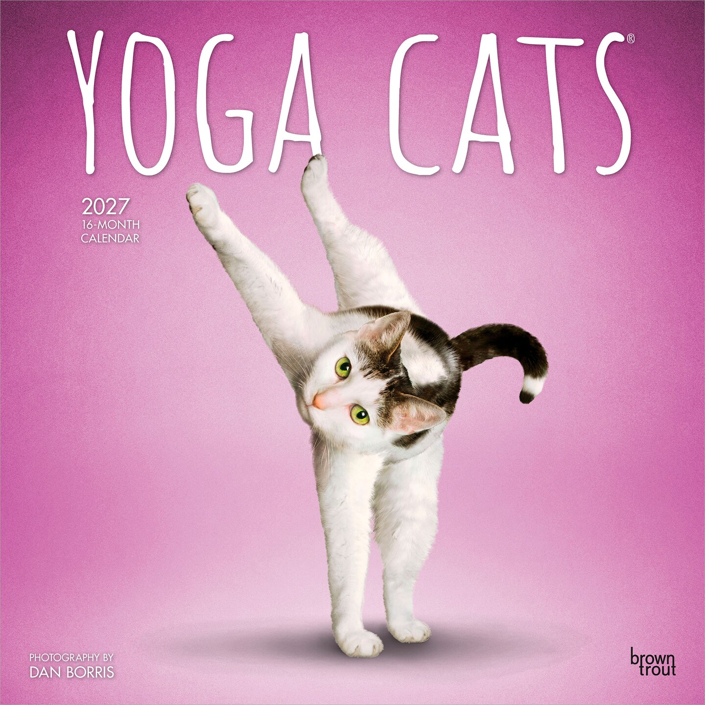 BrownTrout; Yoga Cats OFFICIAL | 2027 12 x 24 Inch (Hanging) Monthly Square Wall Calendar | Plastic-Free; Category:Wall Calendars; Image:1
