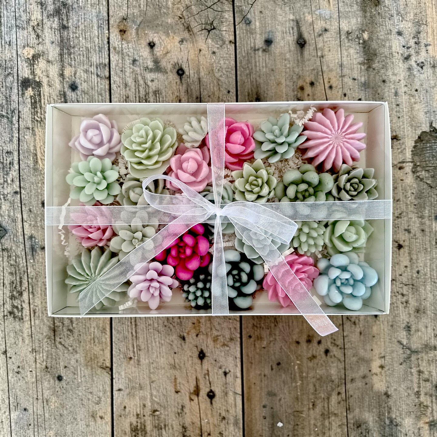 Succulent Soap Gift Set  Mini or Standard Botanical Soap Sets  Pastel  Plant Soap  Spa Gift Box  Garden Soap  Plant Lover Gift | MakerPlace by  ...