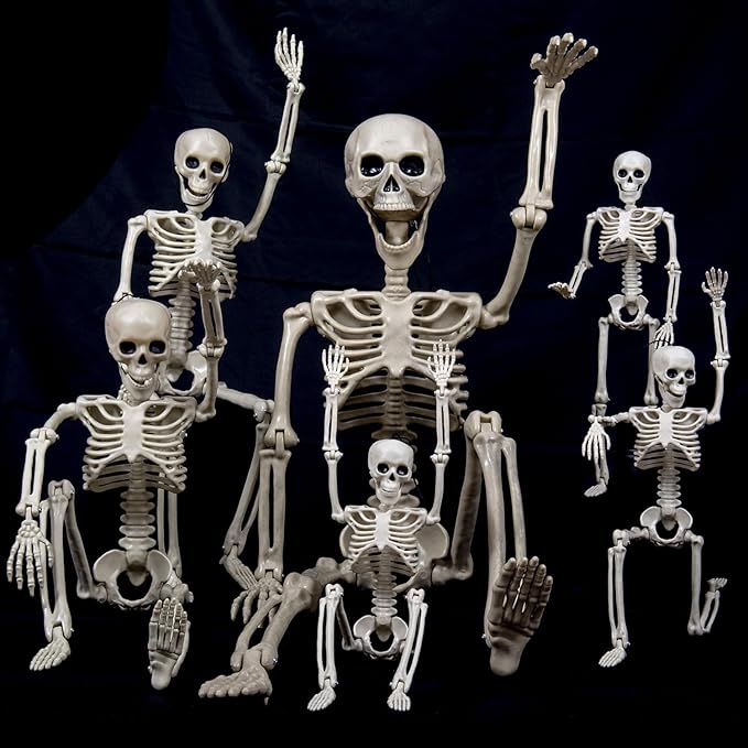 6 Pack(1×40"+2×24"+3×16") Pose-N-Stay Halloween Skeleton Life Size Full Body Posable Movable Jonints for Halloween Decoration Decor