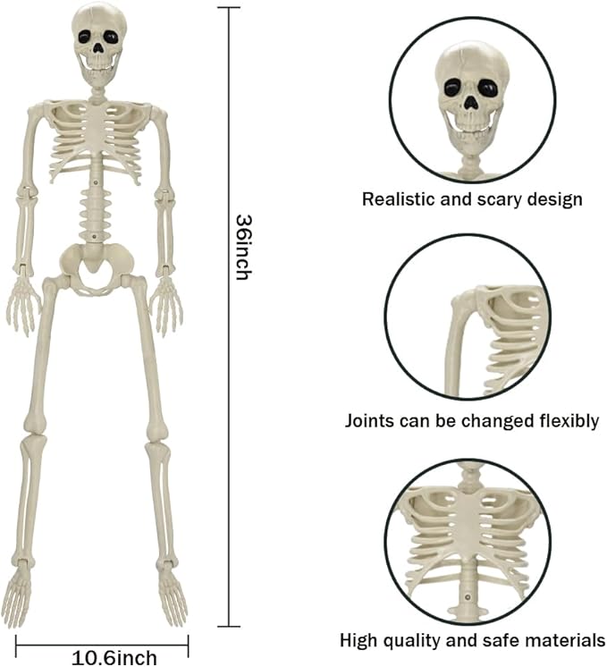 Halloween Skeleton Decorations, 36in/3ft Plastic Full Body with Movable Joints Skeleton for Halloween Party Prop Graveyard Haunted House Decorations