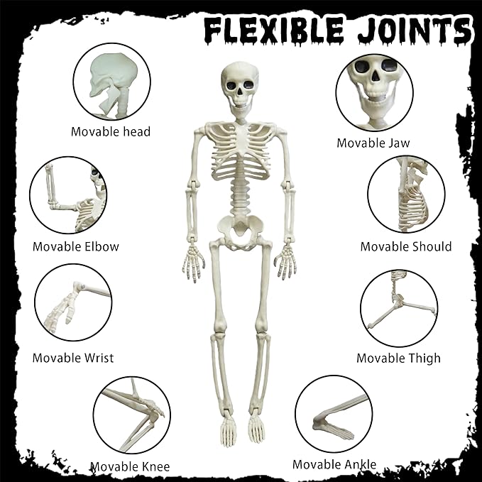 Halloween Skeleton Decorations, 2 Pack 26 Inch Full Body Skeleton with Movable Posable Joints, Human Bones Decorations for Graveyard Indoor Outdoor Decor