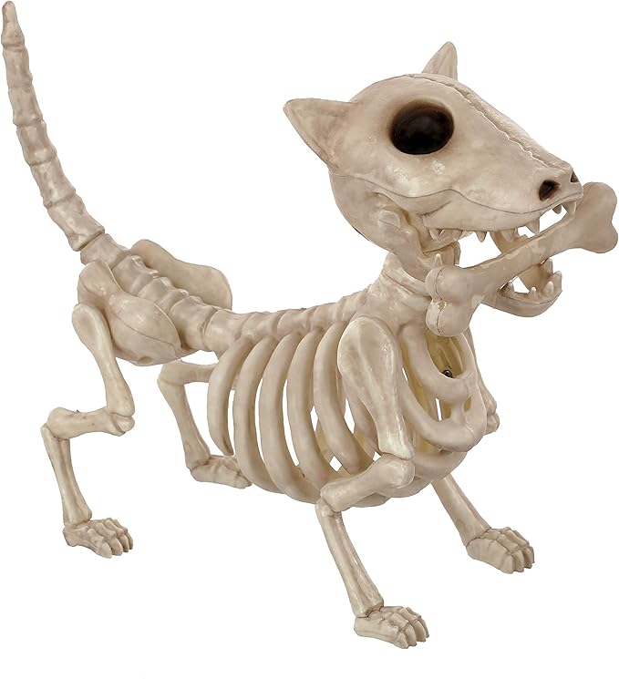 Digger The Skeleton Dog