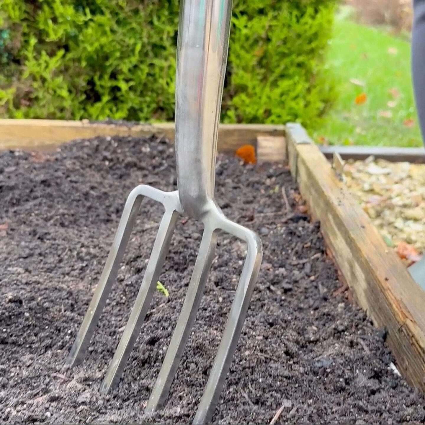 Spear & Jackson Traditional Stainless Steel Border Fork - Thumbnail 5