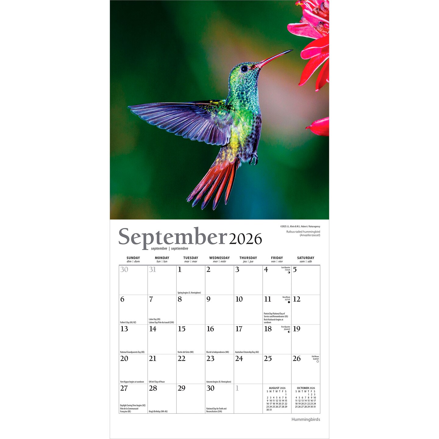 Hummingbirds | 2026 7 x 14 Inch (Hanging) Monthly Mini Wall Calendar | Foil Stamped Cover