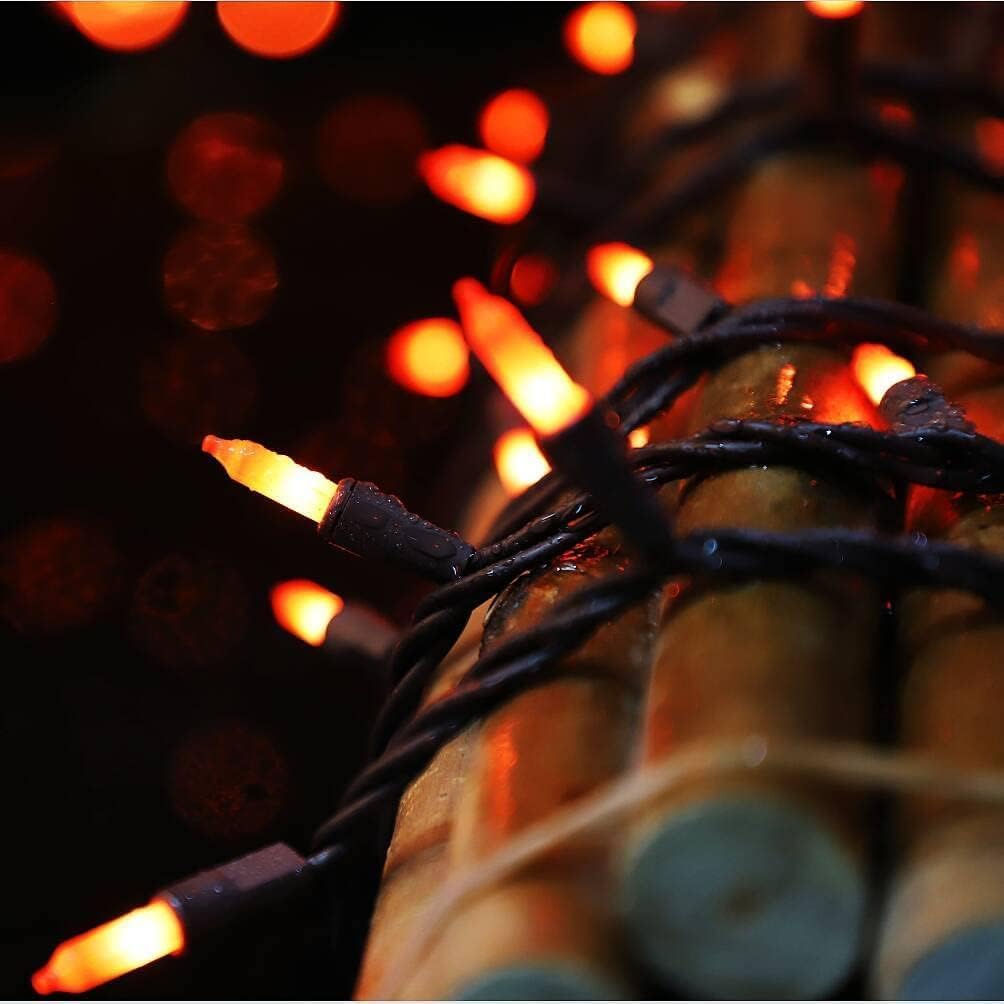 Orange Halloween String Lights – 100 Count, 20FT, UL Certified (Orange)