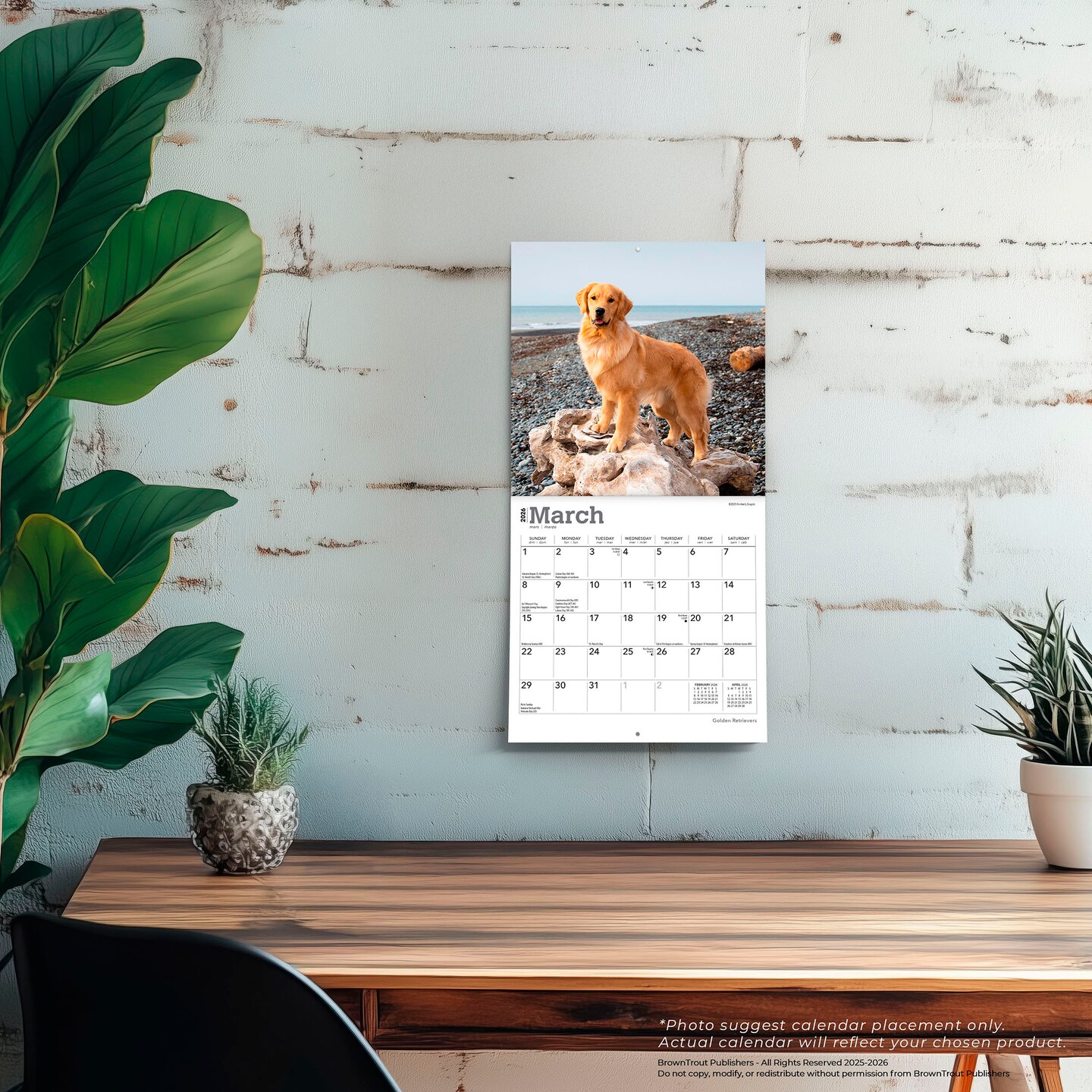 Golden Retrievers | 2026 7 x 14 Inch (Hanging) Monthly Mini Wall Calendar