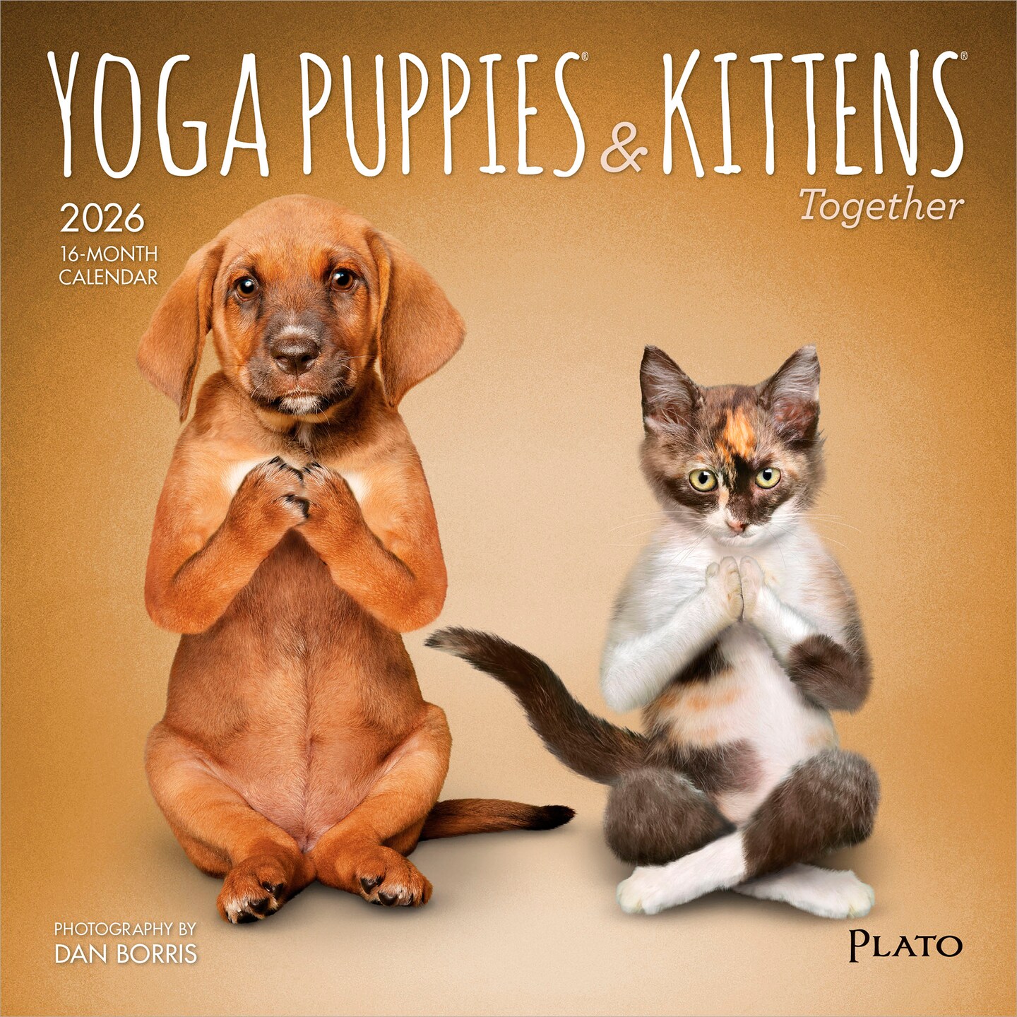 Yoga Puppies &#x26; Kittens Together OFFICIAL | 2026 7 x 14 Inch (Hanging) Monthly Mini Wall Calendar